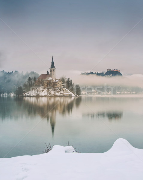 Chuvoso dia lago inverno Eslovenia europa Foto stock © Fesus