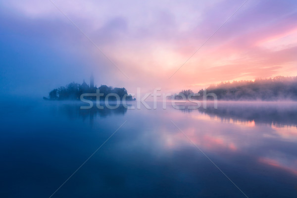 Cetos dimineaţă lac copac pădure natură Imagine de stoc © Fesus