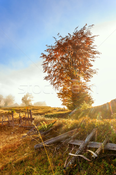 Magical sunrise Stock photo © Fesus