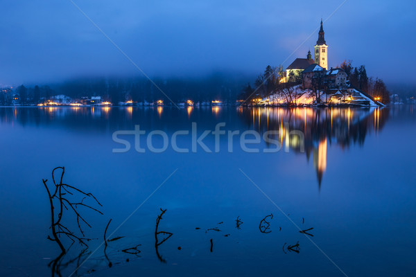 Lago inverno Eslovenia europa dia Foto stock © Fesus
