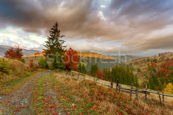 Morning in Carpathians mountain Stock photo © Fesus