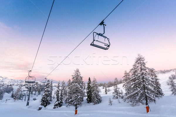 Esquí centro naturales parque alpes Eslovenia Foto stock © Fesus