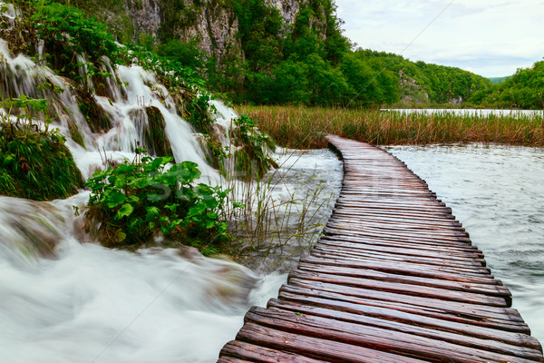 Fából készült út park víz tavasz fa Stock fotó © Fesus