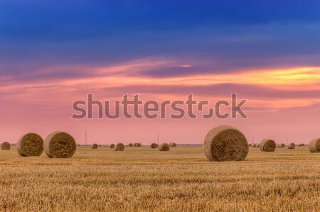 Stock photo: Sunset over farm field with hay bales near Sault