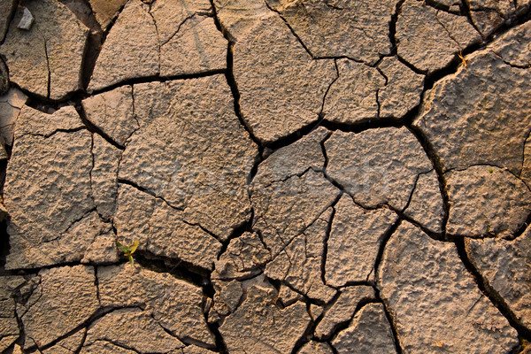 Landscape With Cracked Land Stock Photo C Fesus Stockfresh