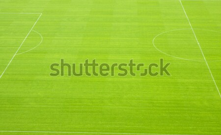 Football grass background Stock photo © Fesus