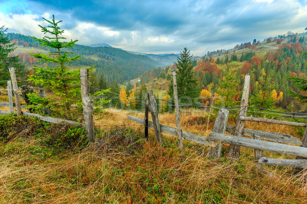 Foggy summer morning in the mountains Stock photo © Fesus