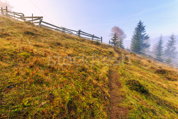 Colorful autumn landscape scene with fence in Transylvania Stock photo © Fesus