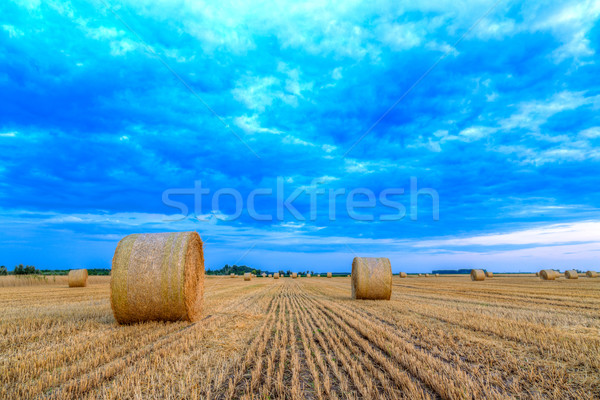 Zonsondergang boerderij veld hooi landelijk weg Stockfoto © Fesus