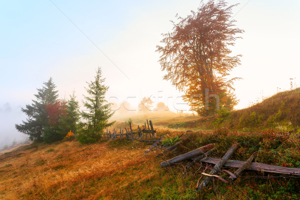 Mountain landscape with fog in Transylvania mountains Stock photo © Fesus