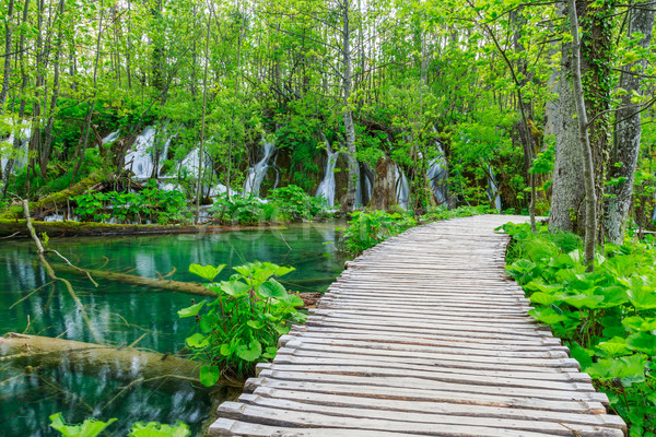 Boardwalk in the park Plitvice lakes Stock photo © Fesus