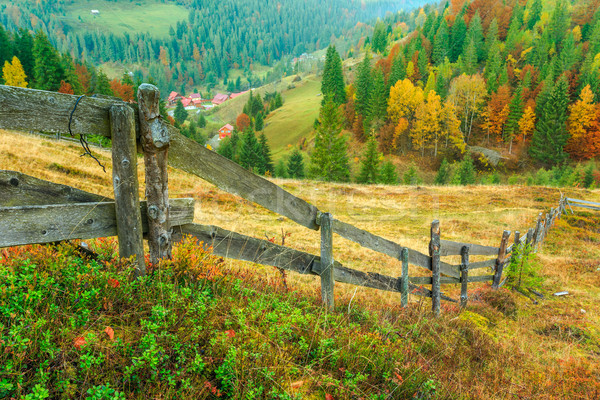 Wonderful autumn hillside in Transylvania Stock photo © Fesus