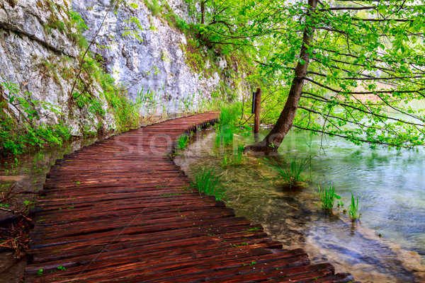 Camino parque agua primavera madera Foto stock © Fesus