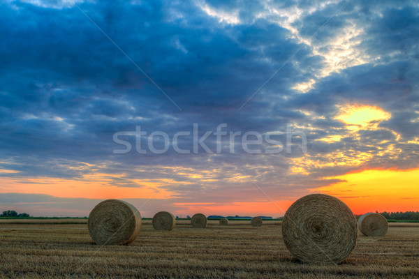 Sunset over farm field with hay bales Stock photo © Fesus