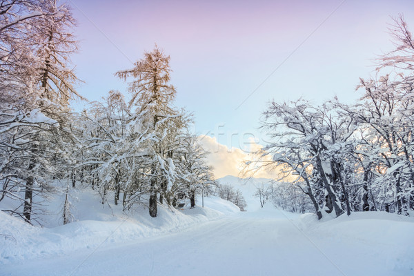 Invierno carretera alpes montana hielo azul Foto stock © Fesus