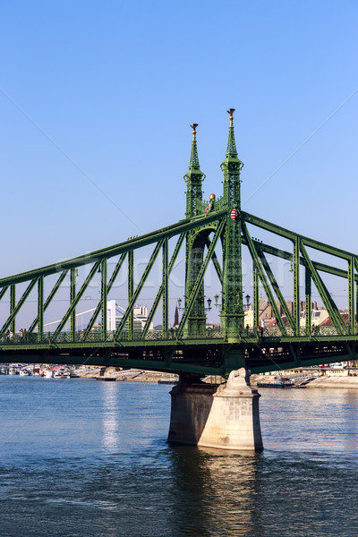 Liberty Bridge in Budapest, Hungary Stock photo © Fesus