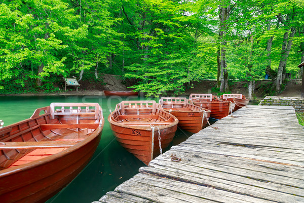 Boats in the national park Plitvice, Croatia Stock photo © Fesus