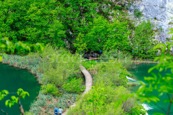 Caminho parque água primavera madeira Foto stock © Fesus