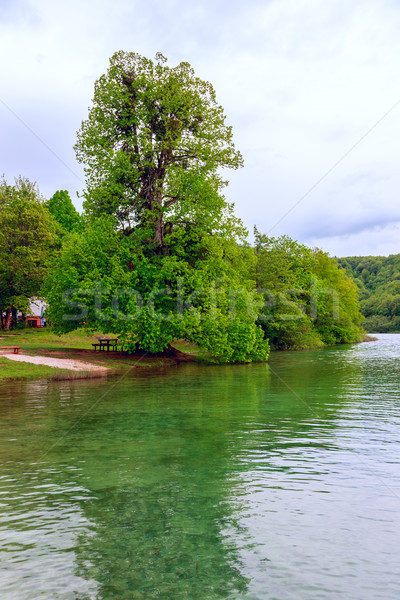 Plitvice Lakes National Park, Croatia Stock photo © Fesus
