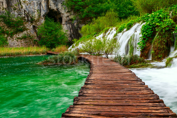 Camino parque agua primavera madera Foto stock © Fesus