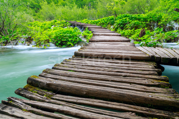 Boardwalk in the park Plitvice lakes Stock photo © Fesus