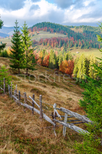 Foggy summer morning in the mountains Stock photo © Fesus