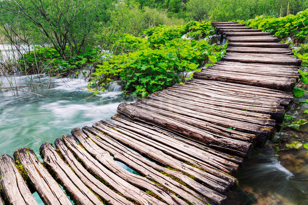 Camino parque agua primavera naturaleza Foto stock © Fesus