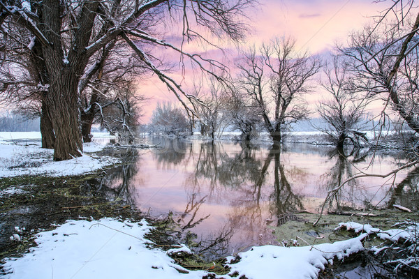 Winter landscape river Zagyva Stock photo © Fesus