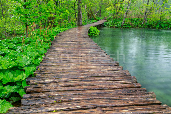 Boardwalk in the park Plitvice lakes Stock photo © Fesus