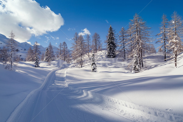 Invierno carretera alpes árbol madera puesta de sol Foto stock © Fesus