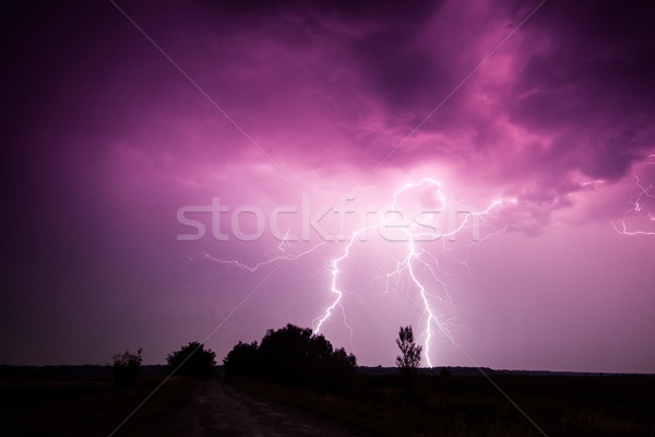 Nuvens trovão tempestade Hungria árvore Foto stock © Fesus