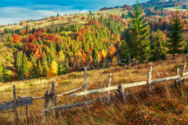 Colorful autumn landscape scene with fence in Transylvania Stock photo © Fesus