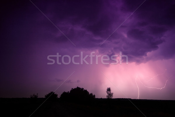 Nubi tuono tempesta Ungheria albero Foto d'archivio © Fesus