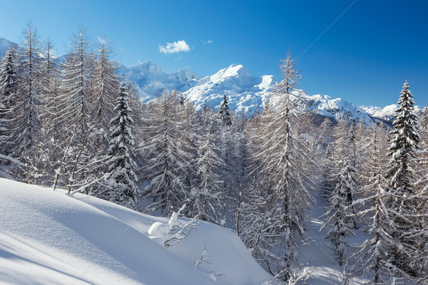 [[stock_photo]]: Hiver · paysage · ski · centre · montagnes · alpes