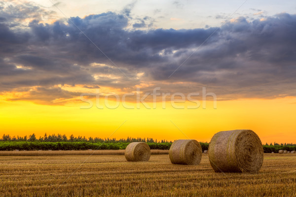 Zonsondergang boerderij veld hooi landelijk weg Stockfoto © Fesus