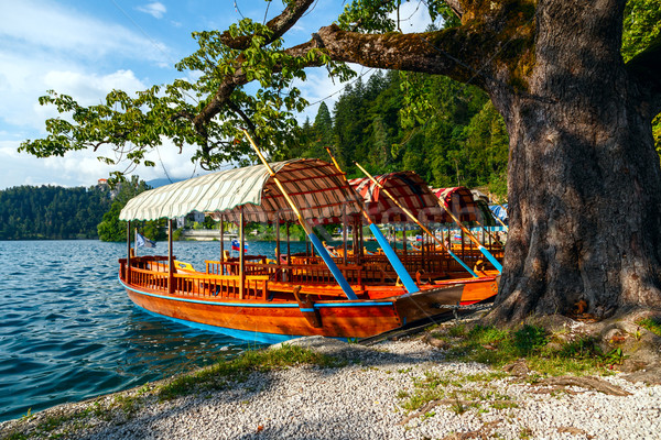 Traditional wooden boats Pletna on lake Bled Stock photo © Fesus