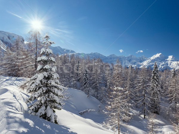 Invierno paisaje esquí centro montanas alpes Foto stock © Fesus