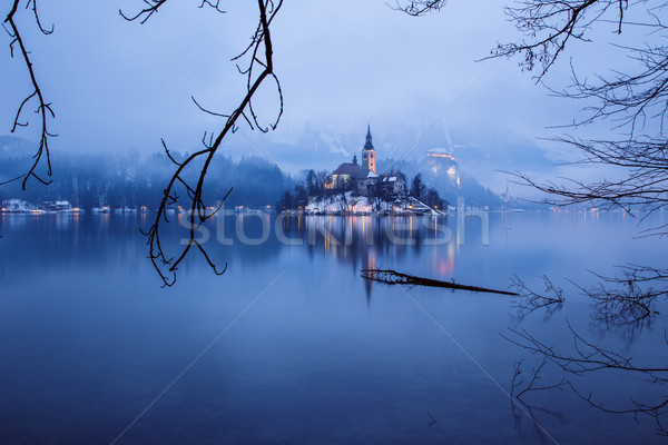 Lago inverno Eslovenia europa dia Foto stock © Fesus