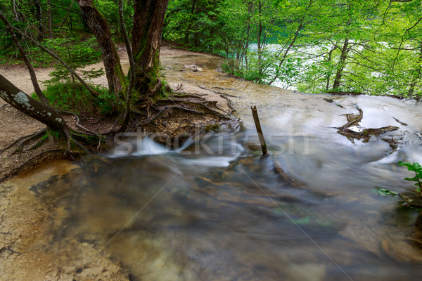 Spring forest creek in Plitvice National park Stock photo © Fesus