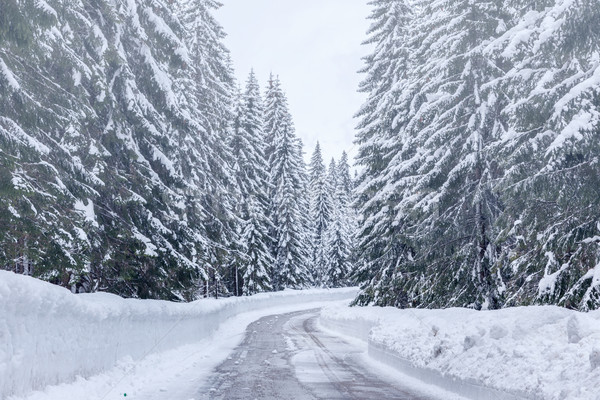 Stok fotoğraf: Kış · yol · alpler · dağ · buz · mavi