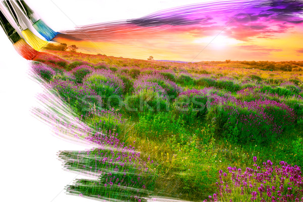 Artista escove pintura quadro belo paisagem Foto stock © Fesus