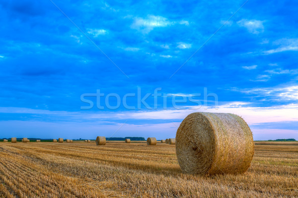 Sunset over farm field with hay bales Stock photo © Fesus