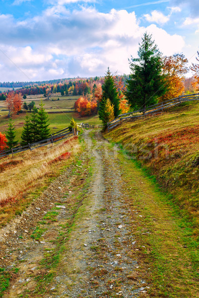 Morning in colorful autumn landscape in Romania Stock photo © Fesus