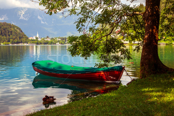 Barcos muelle lago Eslovenia árbol naturaleza Foto stock © Fesus