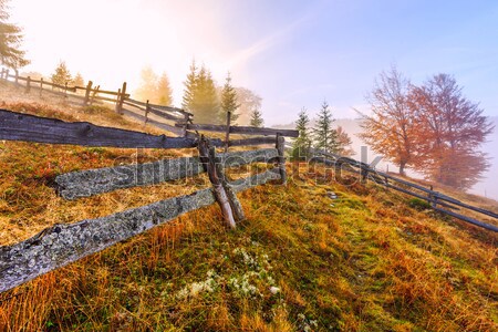 Magical sunrise Stock photo © Fesus