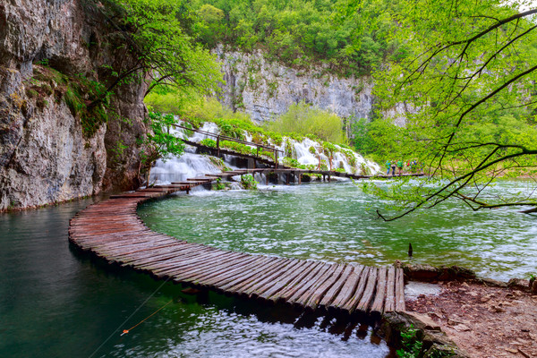 Fából készült út park víz tavasz fa Stock fotó © Fesus