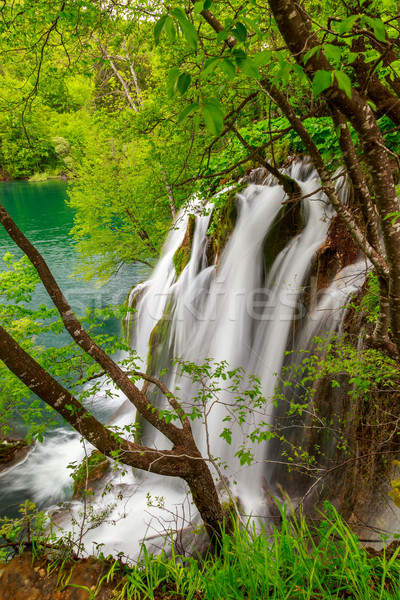Wodospady parku widok z lotu ptaka lasu liści zielone Zdjęcia stock © Fesus