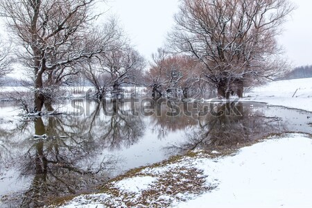 Inverno panorama fiume Ungheria acqua albero Foto d'archivio © Fesus