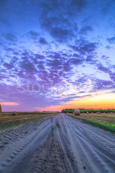 Pôr do sol rural estrada feno fazenda campo Foto stock © Fesus