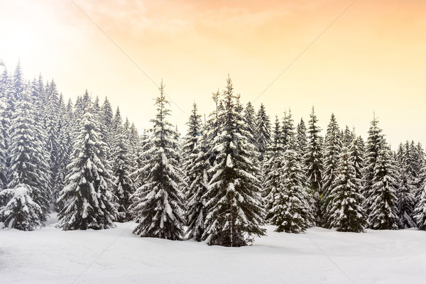 Invierno paisaje esquí centro montanas alpes Foto stock © Fesus